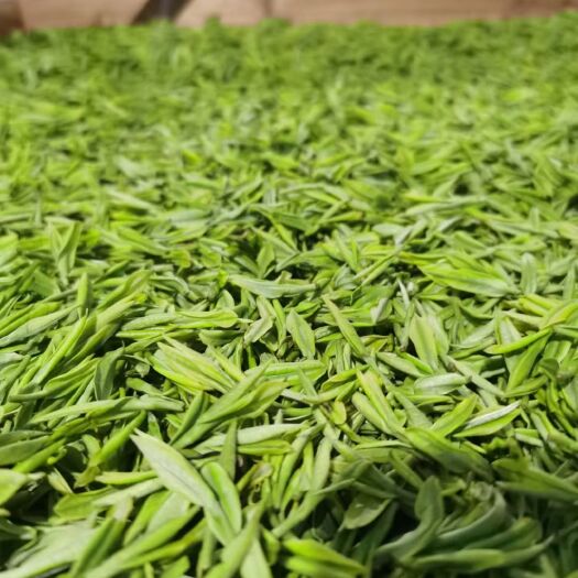 长兴县 正宗安吉白茶，口粮茶，