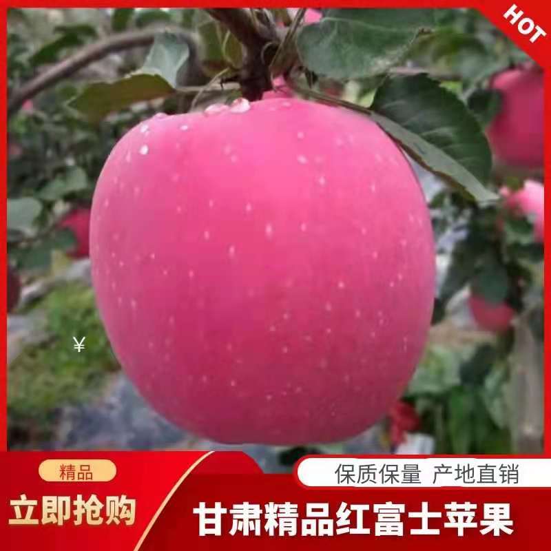 红富士静宁红富士苹果，皮薄汁多 新鲜水果【产地直销】