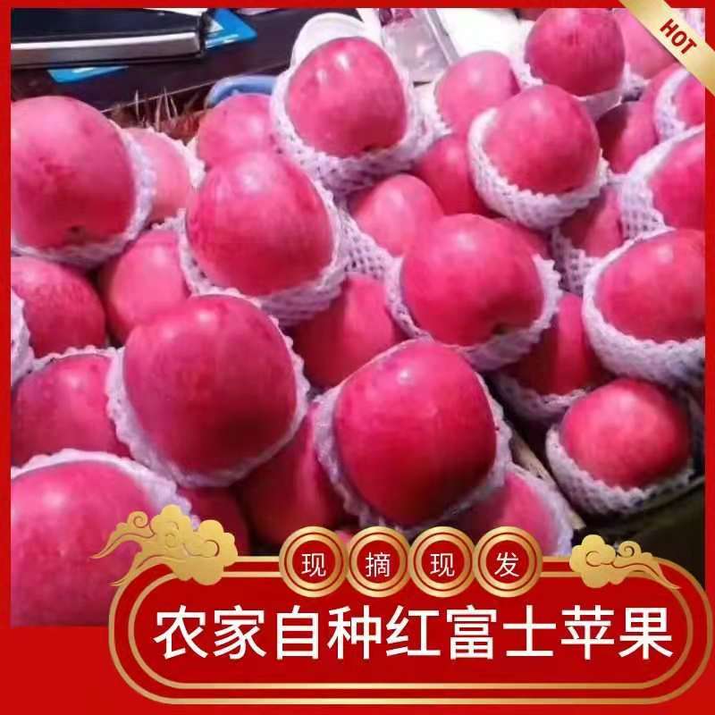 红富士静宁红富士苹果，皮薄汁多 新鲜水果【产地直销】