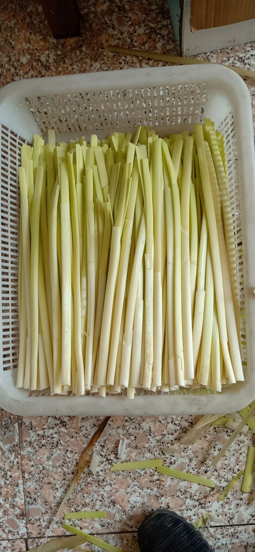 蒲菜 