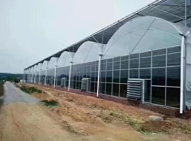 德州 温室大棚建设