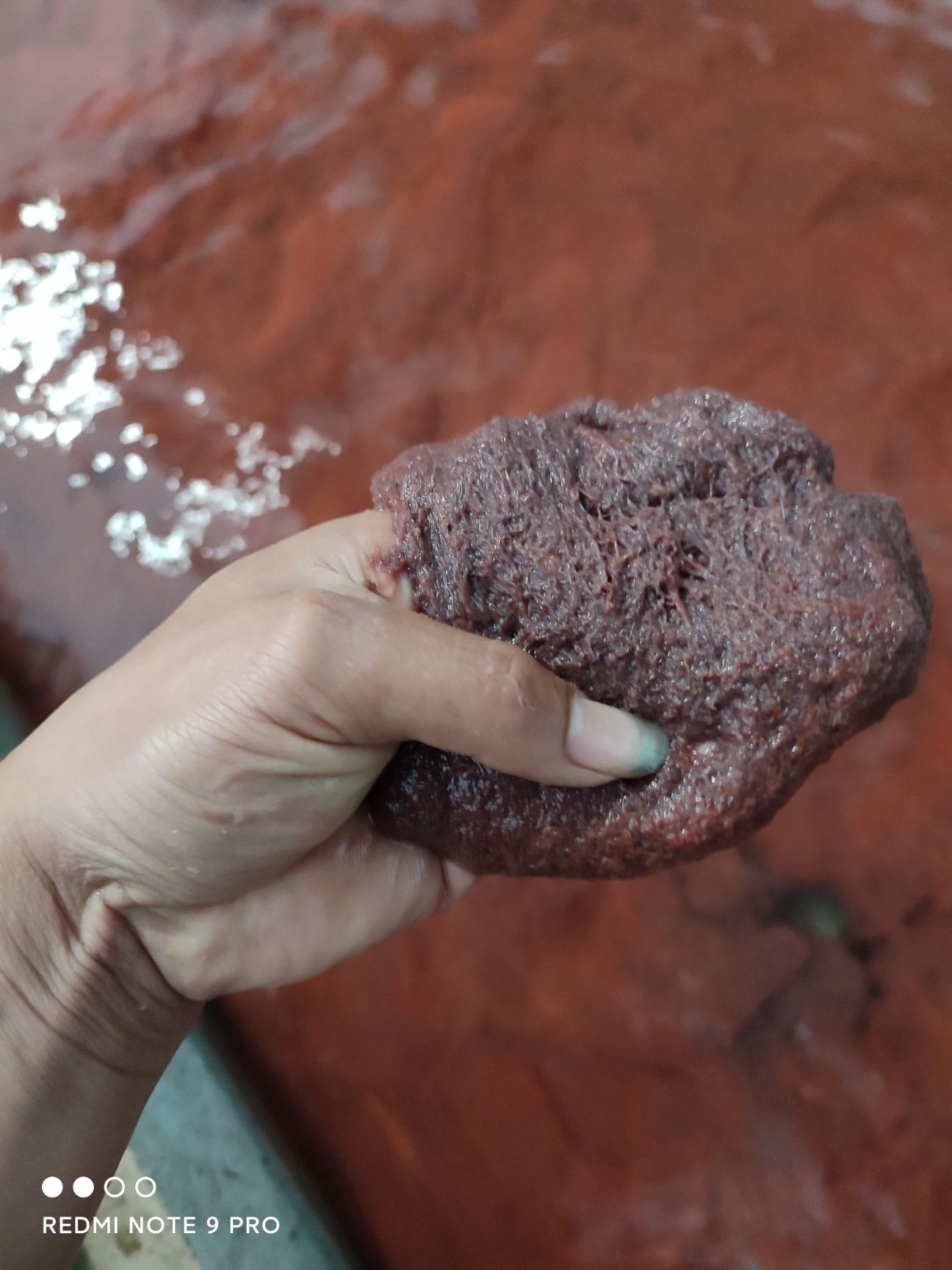  红虫 水蚯蚓，又名红丝虫，鱼类最好的开口饵料。欢迎订购。