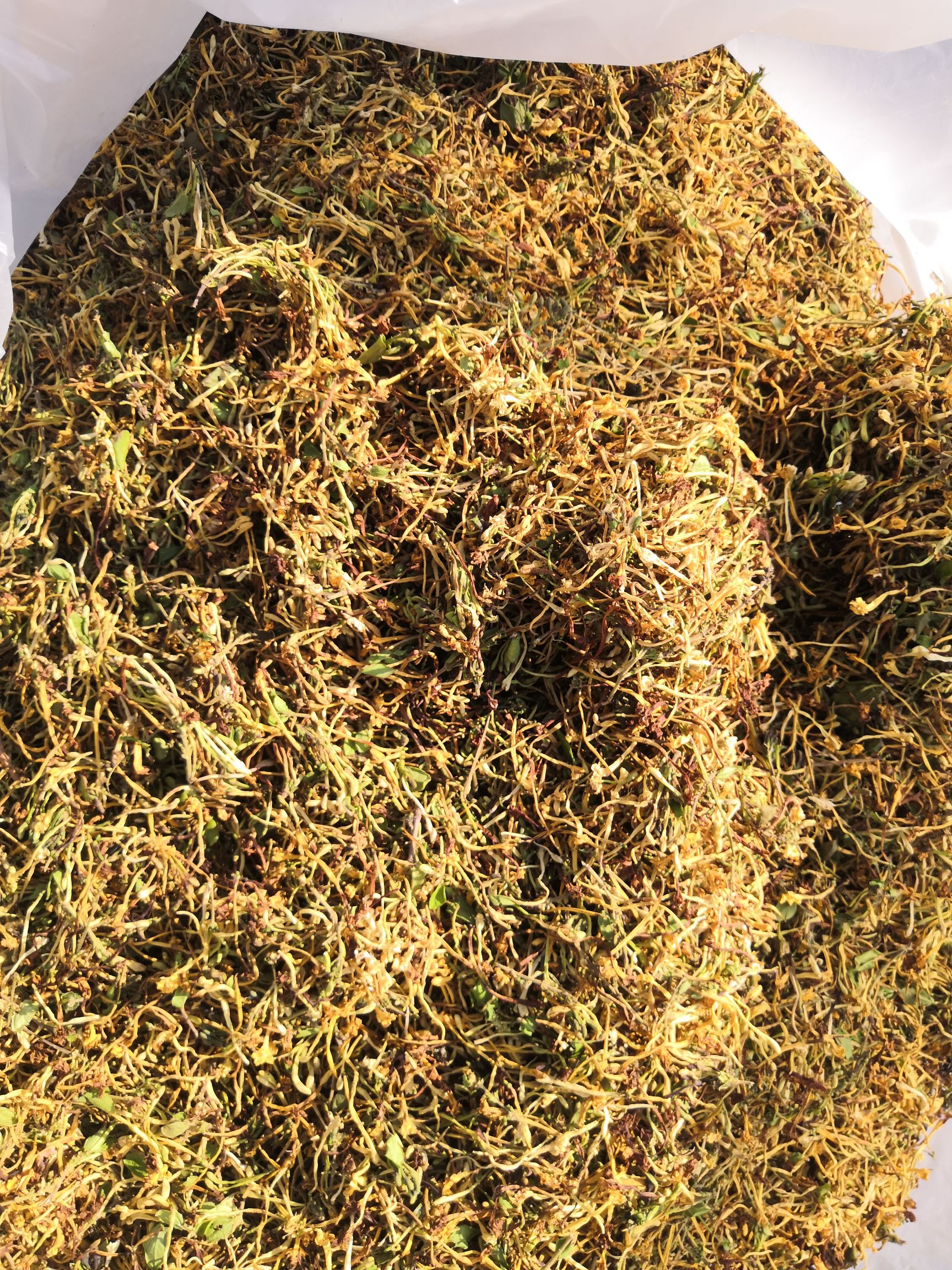 金银花  干货，药效好，颜色好，花香