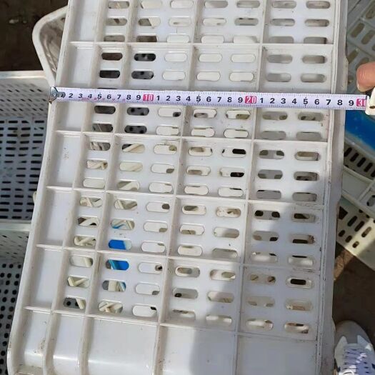 蒲江县塑料筐  二手周转筐