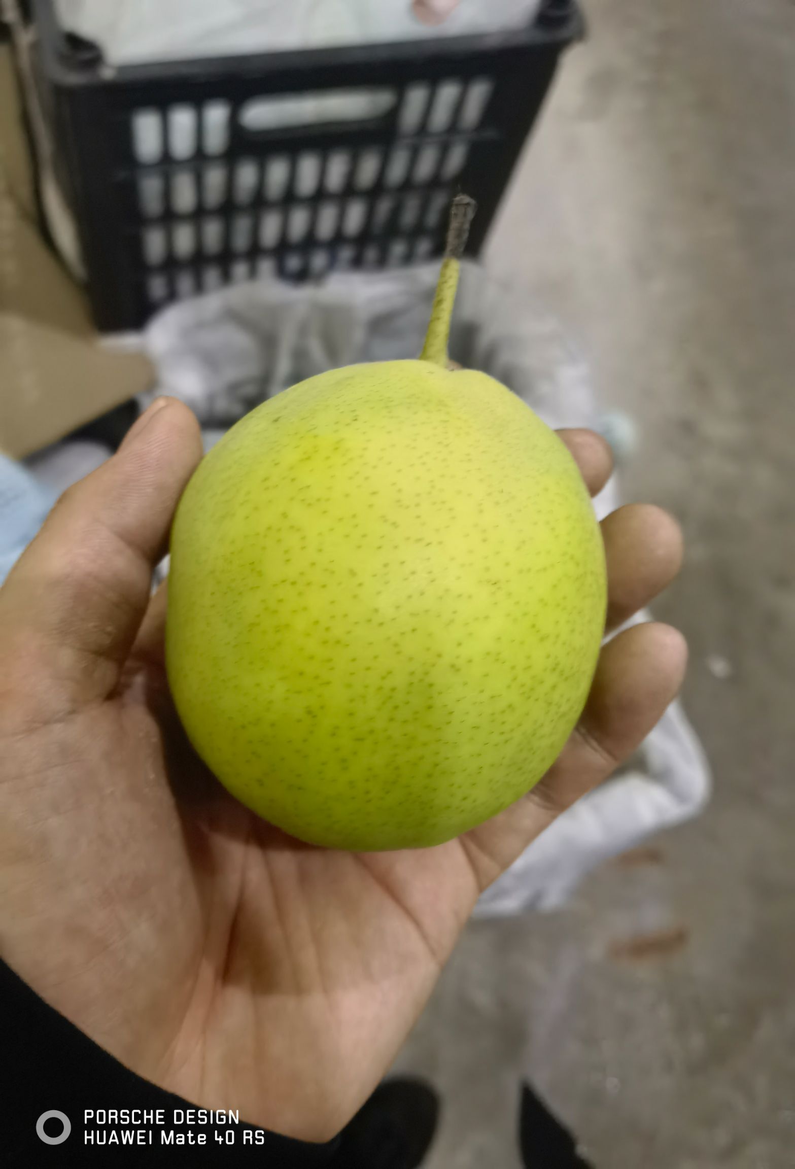  早酥梨，青皮梨，汁大味甜，酥脆无渣