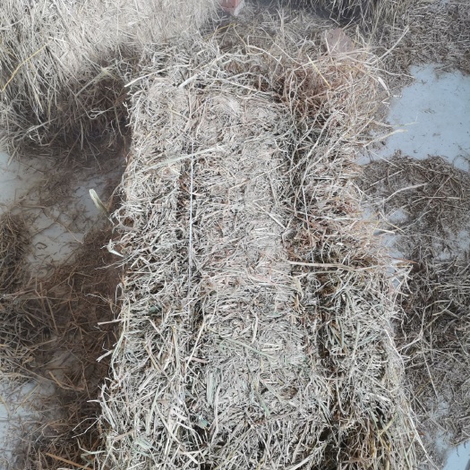 秸秆饲料。稻草