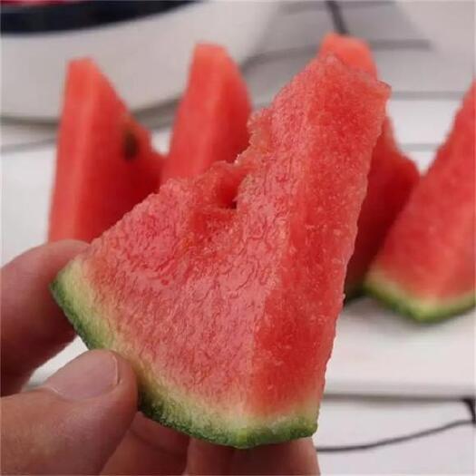 西华县吊西瓜  牛奶小吊瓜，温棚种植，甜多汁，手剥小西瓜