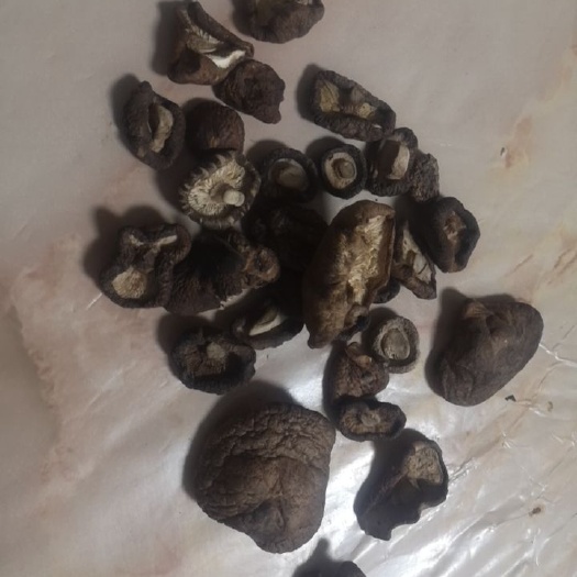 冠县黑面菇  价格不一样