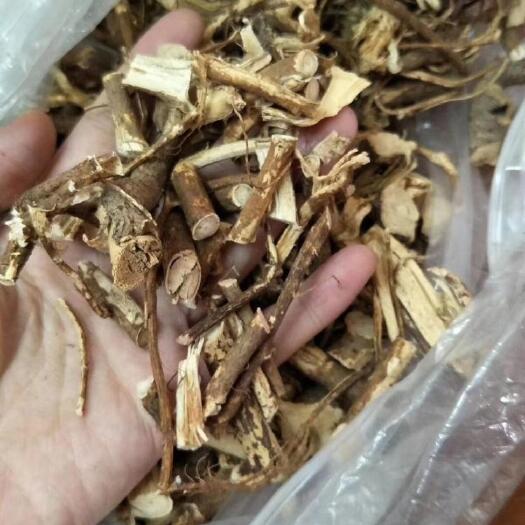 陆川县 大山采挖五指毛桃，非种植，纯自然晒干