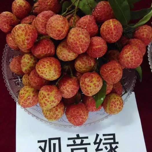 灵山县观音绿荔枝苗  果子香甜核小