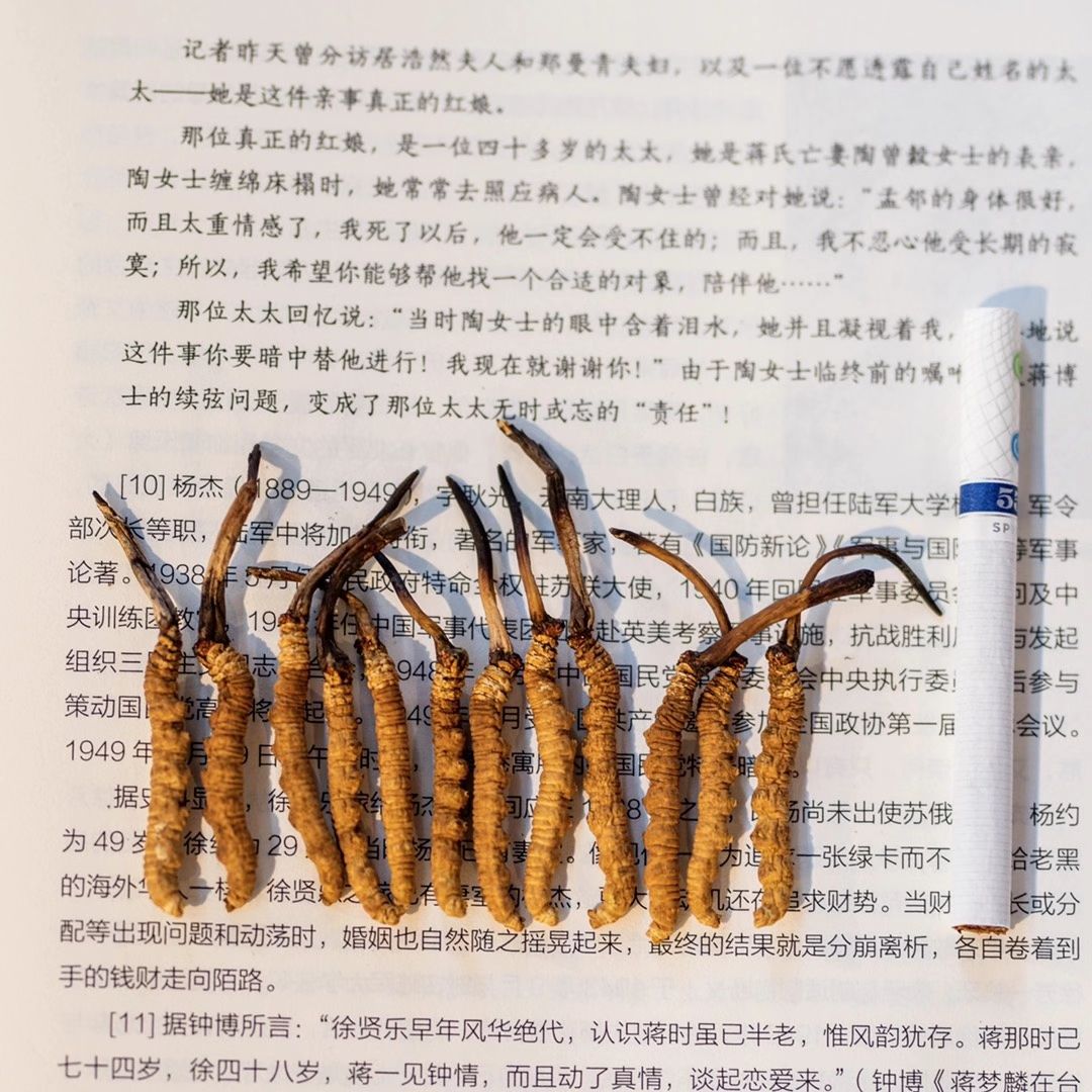 冬虫夏草 理塘虫草    那曲虫草     玉树虫草