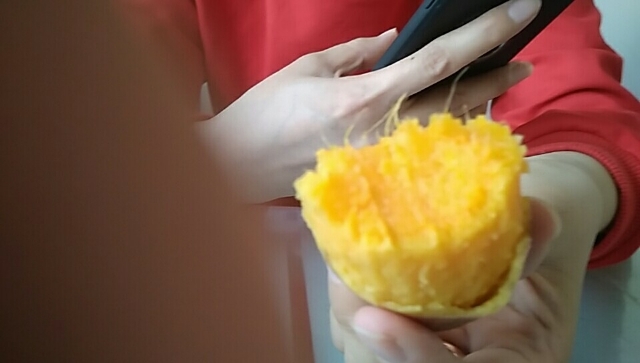 西瓜红红薯苗 安阳滑县吴姐育苗基地