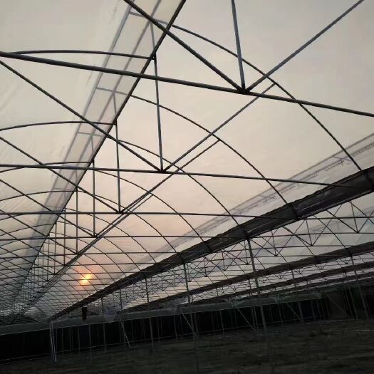 博罗县种植大棚 虎牙天窗降温通风大棚，15年专业技术可上门设计安装
