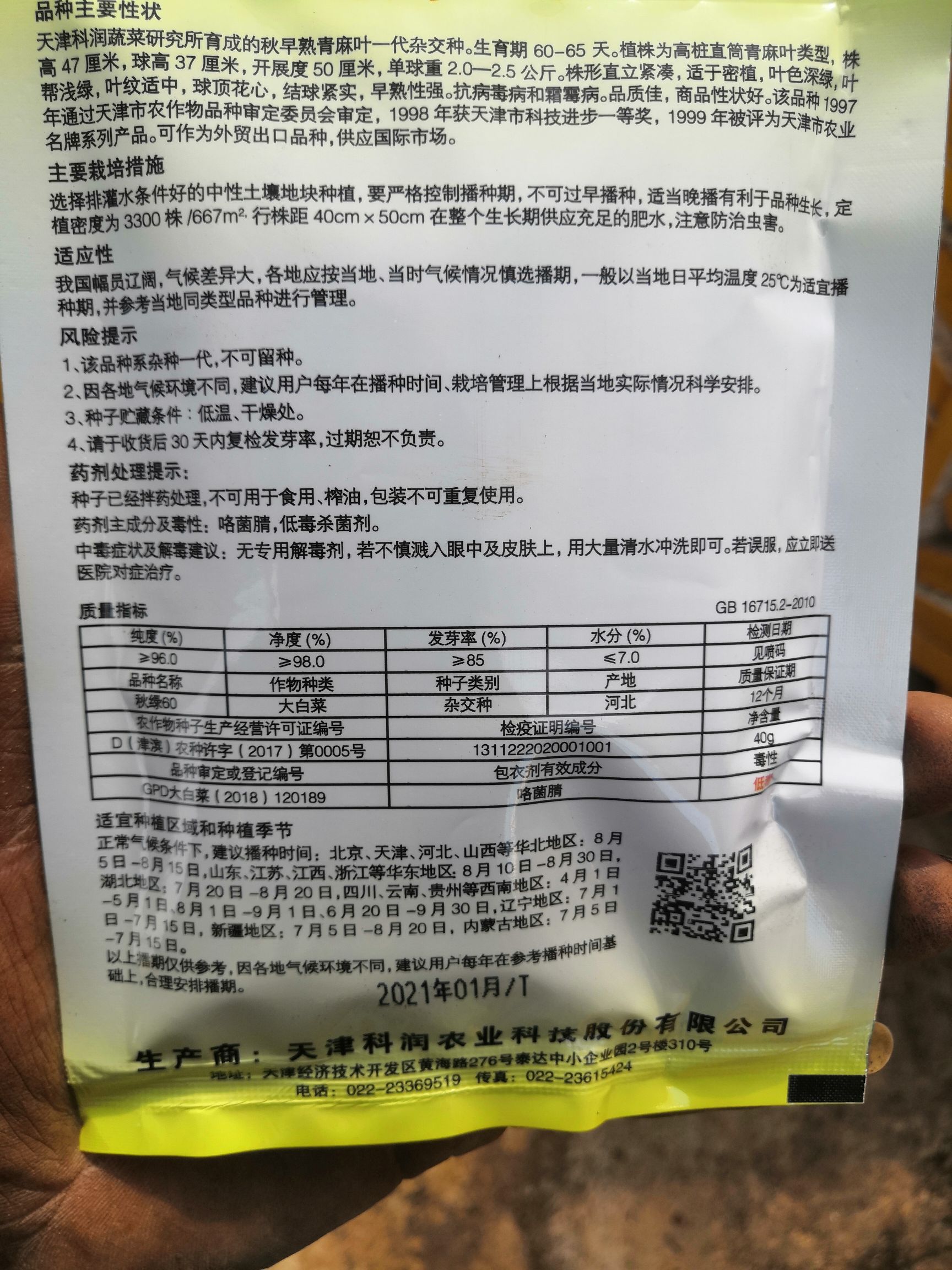 秋绿60白菜苗，茶氏育苗基地常年供应各种各样蔬菜苗，欢迎全国
