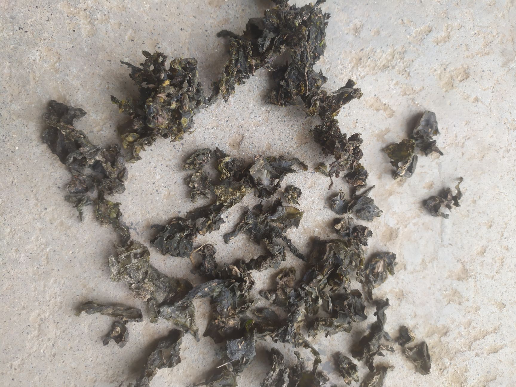 【冲量】过筛过风车、手选三道工序无石子、杂草纯野生地皮菜