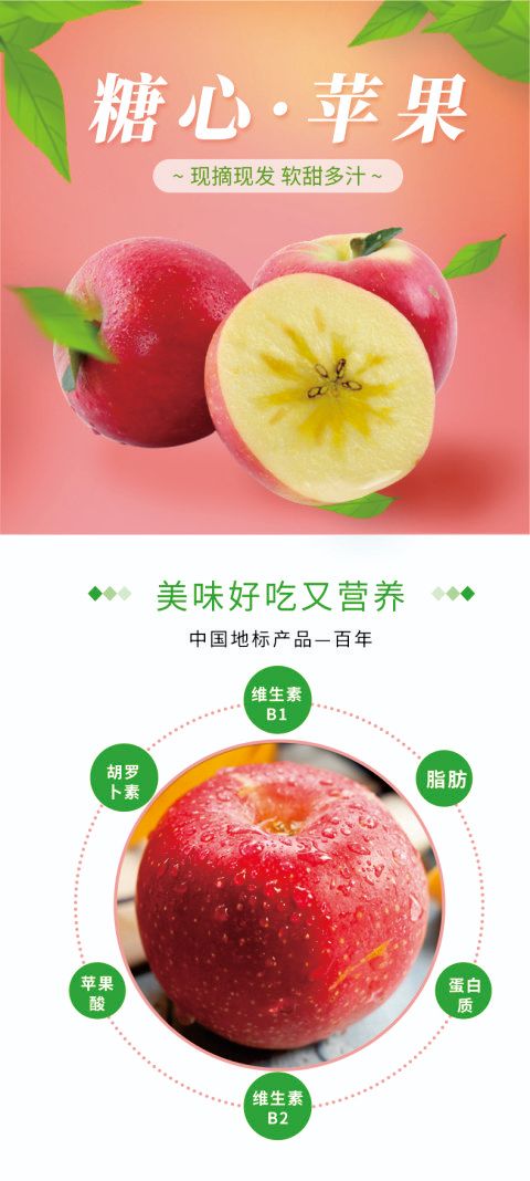 红富士苹果  冰糖心 5斤/箱.10斤/箱 ( 一件代发)