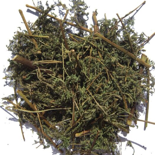 宣城 自家种植艾蒿，艾条，青蒿