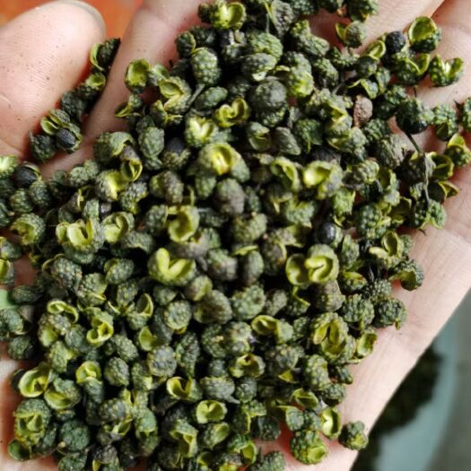 重庆市四川青花椒   特级青花椒  无籽无刺