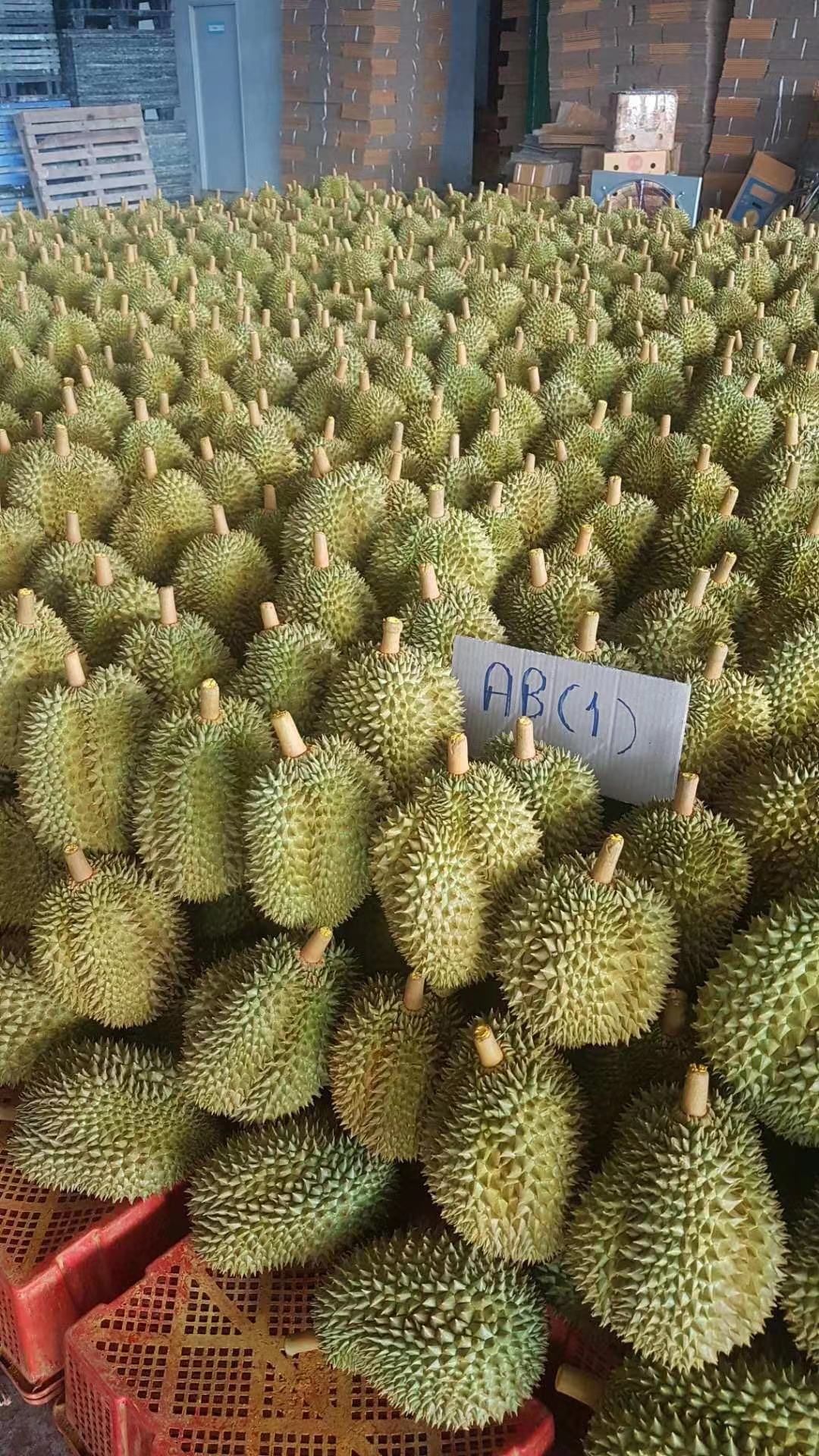 金枕榴莲  泰国直发金枕甲仑干尧托曼尼榴莲