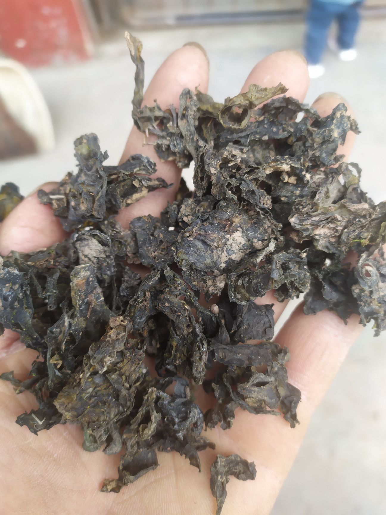 【冲量】过筛过风车、手选三道工序无石子、杂草纯野生地皮菜