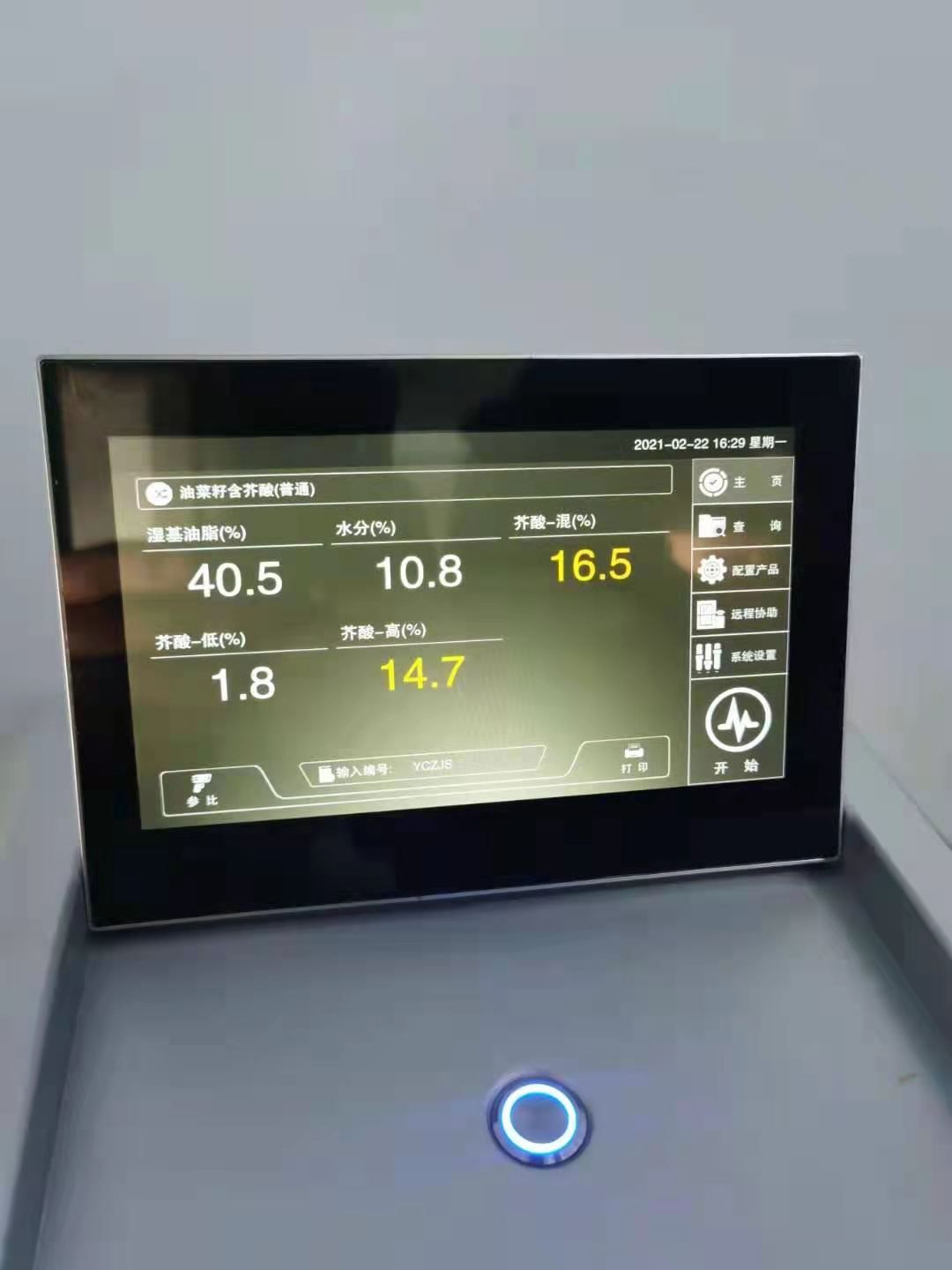 黄菜籽 内蒙地区优质菜籽
