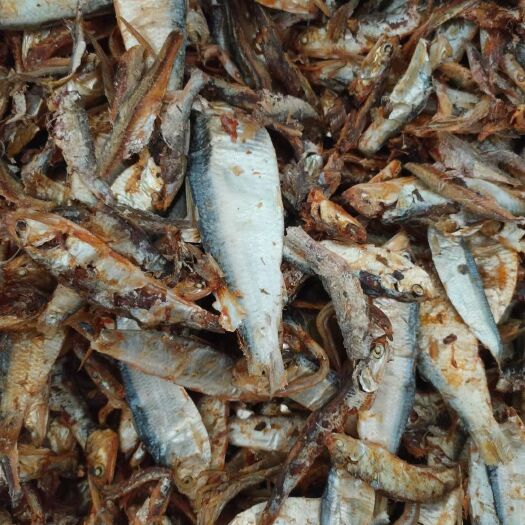 海兴县饲料鱼  饲料级鱼干！熟鱼干