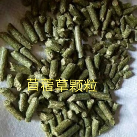 阿旗苜蓿草饲料  苜蓿草颗粒
