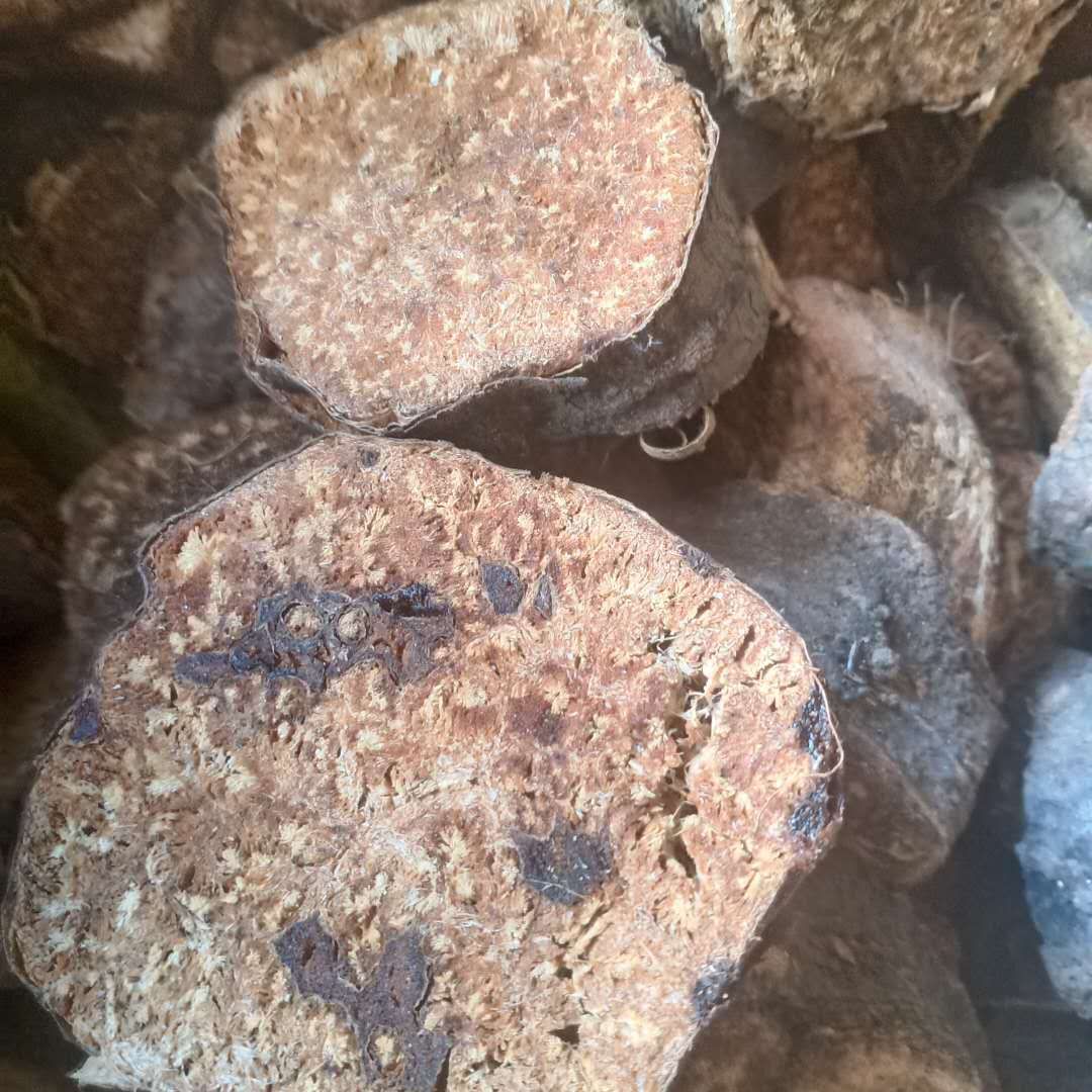 阿魏根产地新疆常年供应大货，批发零售，量大从优