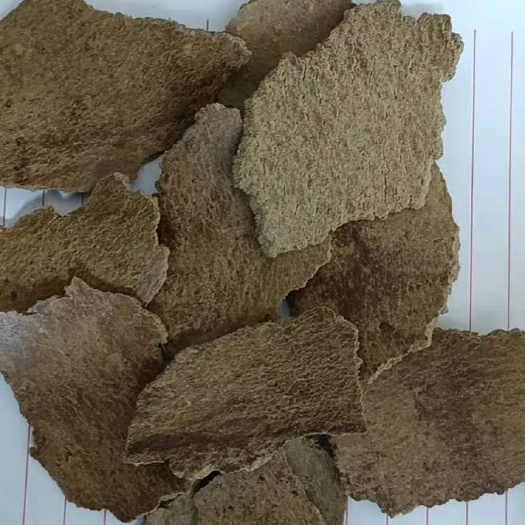 天津菜籽饼饲料 南瓜籽饼   适用牛羊驴马养殖  可直接投喂  气味好
