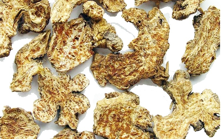 甘南县 苍术种子保证质量