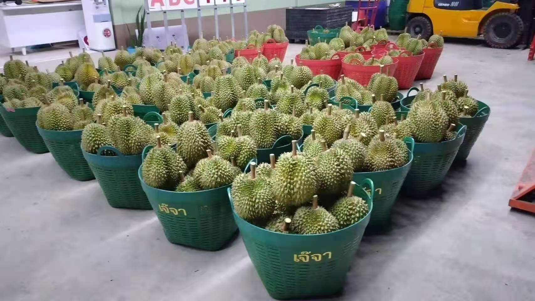 金枕榴莲  泰国直发金枕甲仑干尧托曼尼榴莲