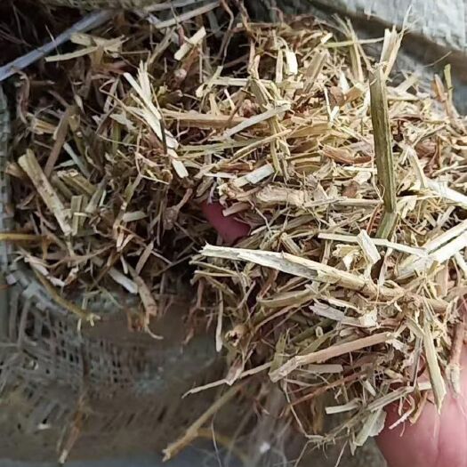 正阳县花生秧 