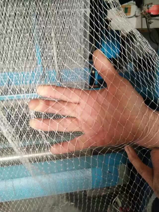 防雹网，防鸟网销售。