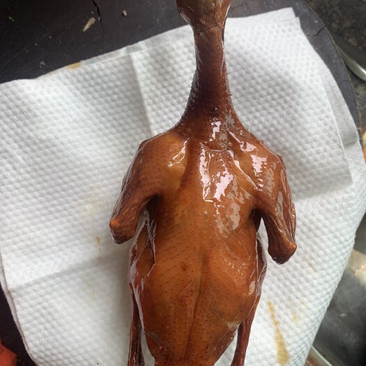 肇庆卤鸽  粤式风味生腌红烧乳鸽半成品玻璃乳鸽半成品脆皮乳鸽半成品
