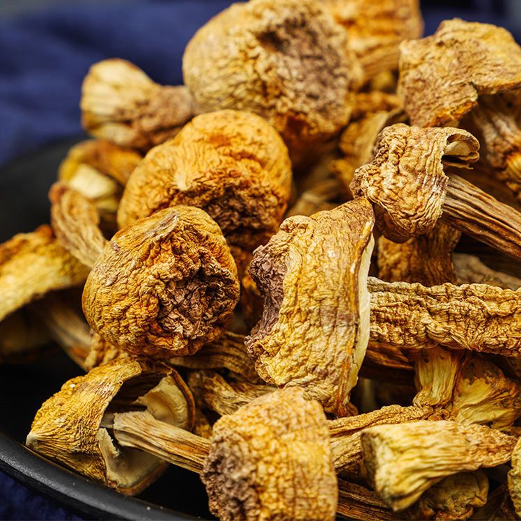 松茸，新货姬松茸干货食用菌干货松茸菌巴西菇煲汤食材