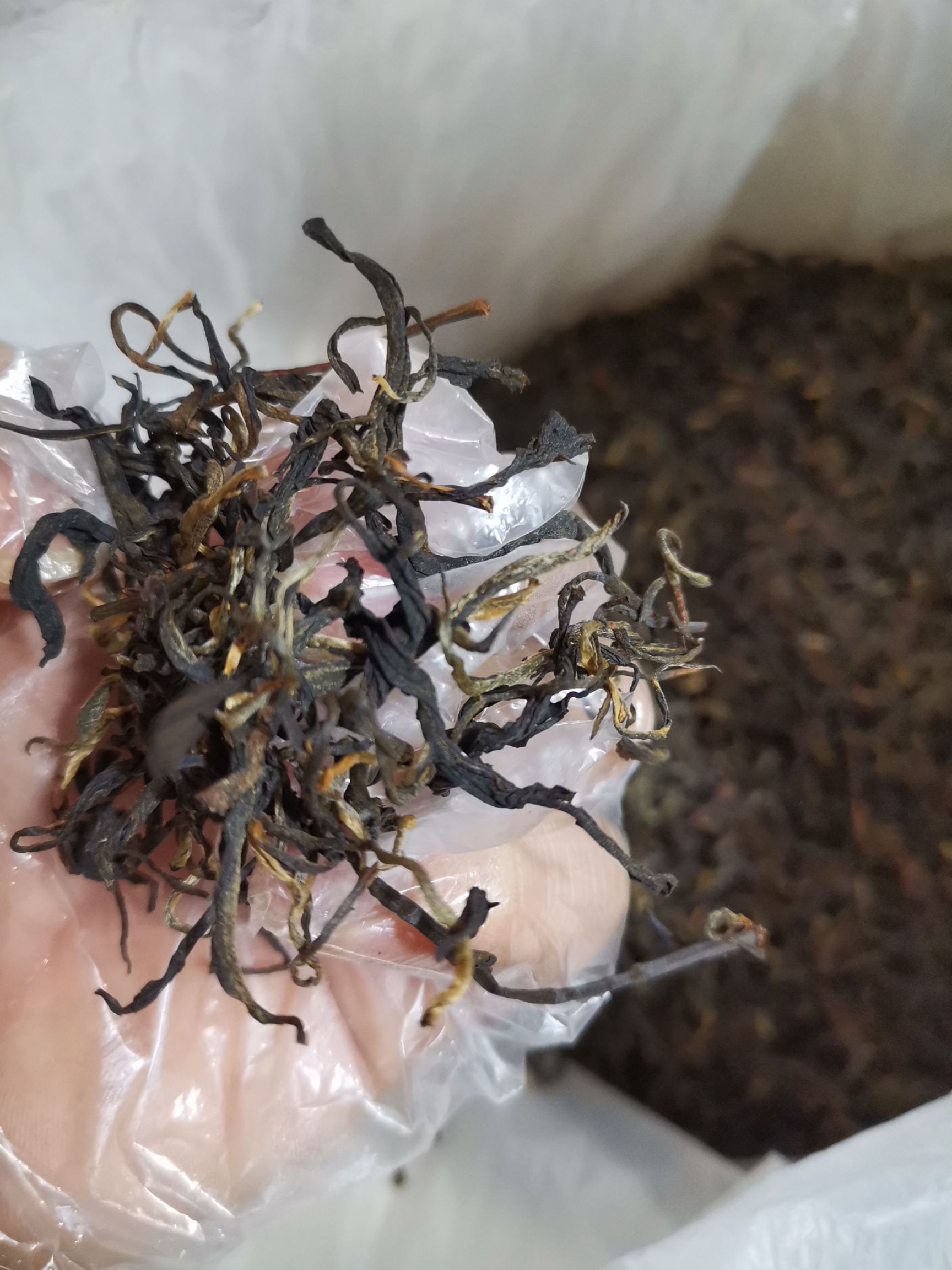 英德英红九号红茶，味道清香，耐泡，送礼佳品选择