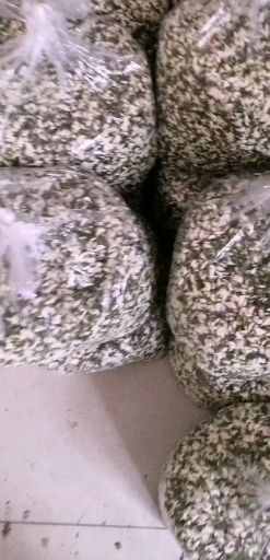鲁山县槐树花 鲜货