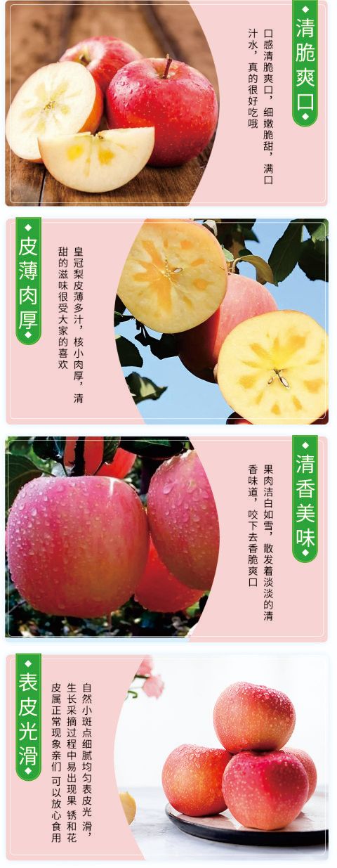 红富士苹果  冰糖心 5斤/箱.10斤/箱 ( 一件代发)