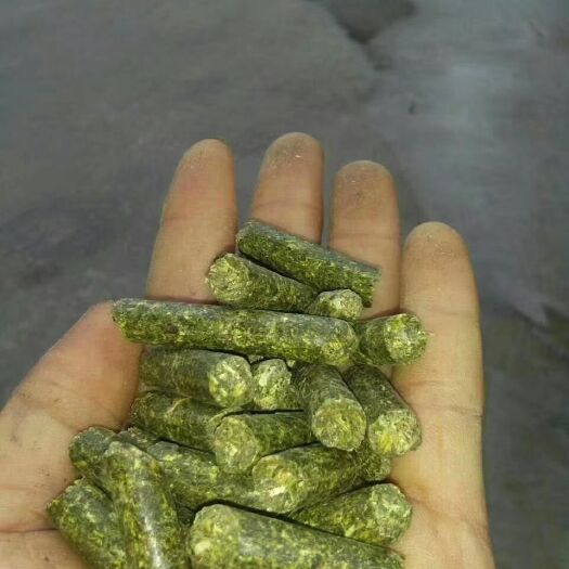 固原苜蓿草 苜蓿颗粒