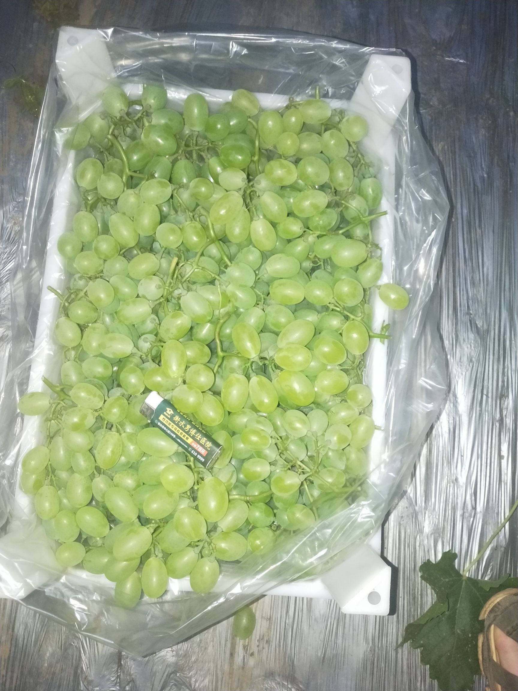 维多利亚葡萄 河北省衡水市饶阳县 一级果