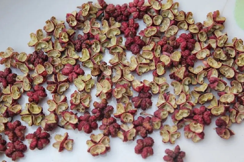 2025年甘肃 武都大红袍不掺不打油麻味浓香味劲红麻花椒