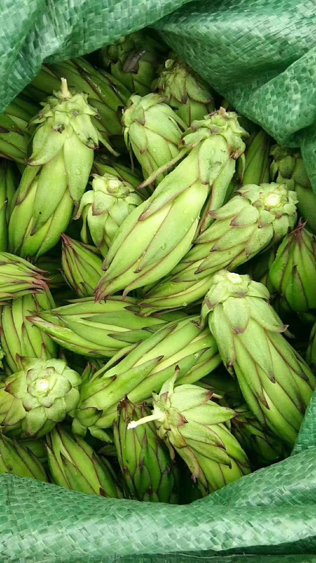  专业做霸王花，常年有货，精品霸王花