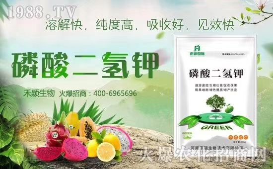荥阳市磷酸二氢钾，磷钾复合肥
