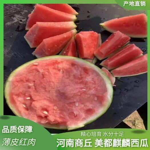 夏邑县麒麟西瓜  薄皮红肉，包熟包甜