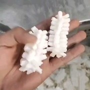 荣成市枪乌贼  精品鱿鱼花（大量有货）