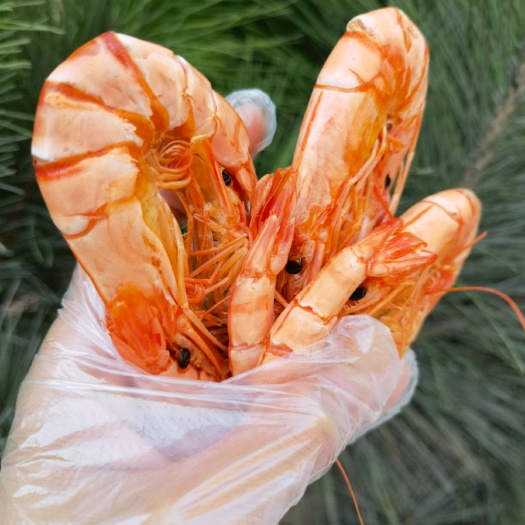 诏安县红虾干 中烤虾