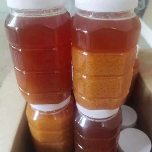 成县天然土蜂蜜巢穴蜜