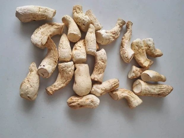 香菇脚  2021特级商南土特产新菇脚干货菌类椴木煲汤味美肉厚500g