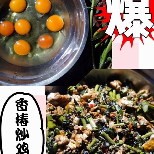 桂林土鸡蛋 散养土鸡初生蛋来啰