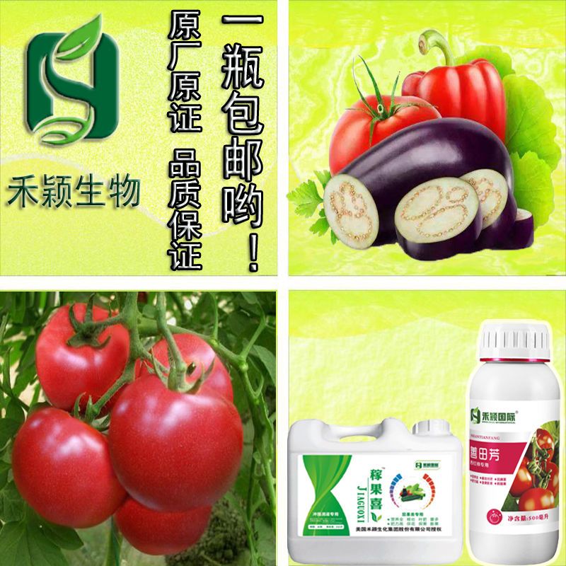 西红柿专用叶面肥